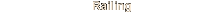 Stainless Steel Railing
